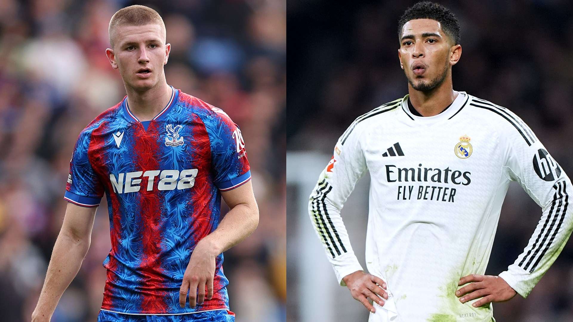 到了希望 到了希望